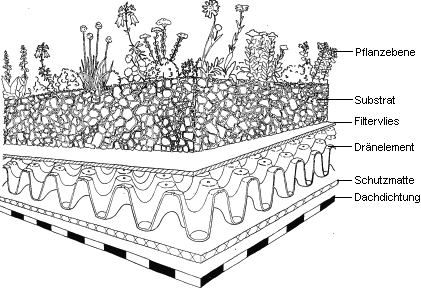Dachbegrünung Graphik